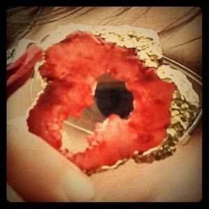 Meet your Posher, Ethan